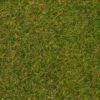 Faller 170206 HO/N/TT Early Summer Lawn Wild Grass Ground Cover Fibres 30g Pack