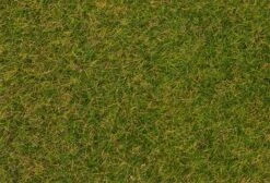 Faller 170206 HO/N/TT Early Summer Lawn Wild Grass Ground Cover Fibres 30g Pack