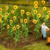 Faller 181256 HO 16 Sunflowers
