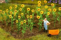 Faller 181256 HO 16 Sunflowers