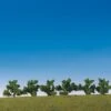 Faller 181479 HO/TT/N 6 Bushes (Green)