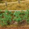 Faller 181259 Tomato Plants (18)