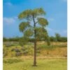 Faller Gmbh 181177 Black Poplar Tree - Premium -- 5-1/2"14cm, All Scales