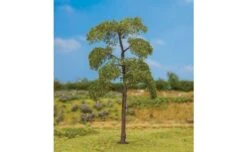 Faller Gmbh 181177 Black Poplar Tree - Premium -- 5-1/2"14cm, All Scales