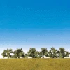 Faller Gmbh 181478 Blooming Bushes 1-1/2", All Scales