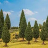 Faller Gmbh 181527 Fir Trees -- Pkg(10), All Scales
