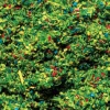 Faller Gmbh 170710 Scatter Material Ground Cover - 1oz28.3g -- Meadow Green, All Scales