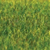 Faller Gmbh 180485 Static Grass 1.06oz30g -- Green Grass 1/4".6cm Fibers, All Scales