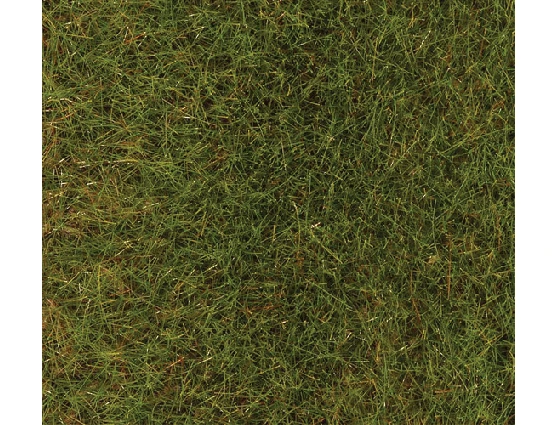 Faller Gmbh 170771 Static Grass - Premium - 2.8oz80g -- Spring Meadow, All Scales 1 Faller Gmbh 170771 Static Grass - Premium - 2.8oz80g -- Spring Meadow, All Scales