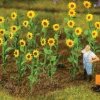 Faller Gmbh 181256 Sunflowers -- Pkg(16), All Scales