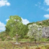 Faller Gmbh 181190 Wild Cherry Trees - Premium -- 3-3/8 & 4-3/4"8.5 & 12cm Pkg(2), All Scales